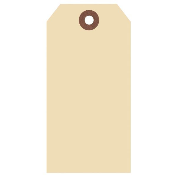 1024-4000-00-000 - 1000/Box Shipping Tags Size 7 – 2-7/8" x 5-3/4"